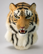 TAIGA — a one-of-one realistic tiger fursuit head by Fulu Fursuits, orange and white faux fur with black stripes and a full ruff