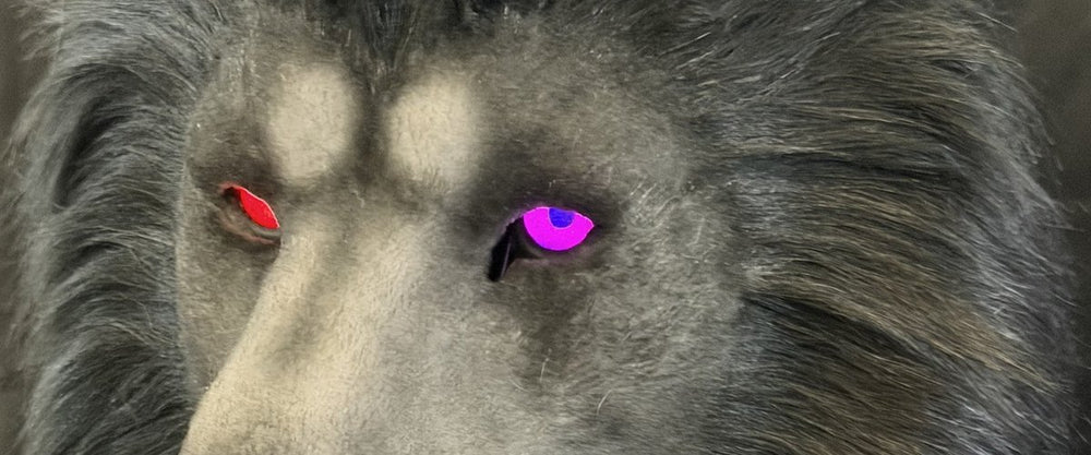 Past work: a gray lion head with its eyes lit, one red and one purple