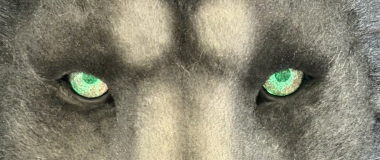The same gray lion head with both eyes lit green