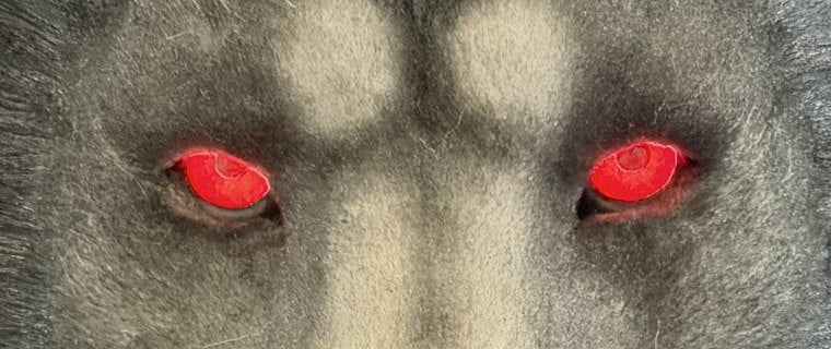 The same gray lion head with both eyes lit red