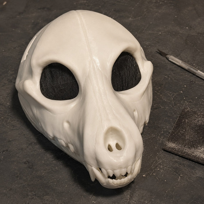 Eyes and base, on the bench