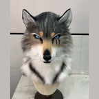 NOTCH — a one-of-one realistic wolf fursuit head by Fulu Fursuits in gray and white with blue eyes and three red marks under one eye