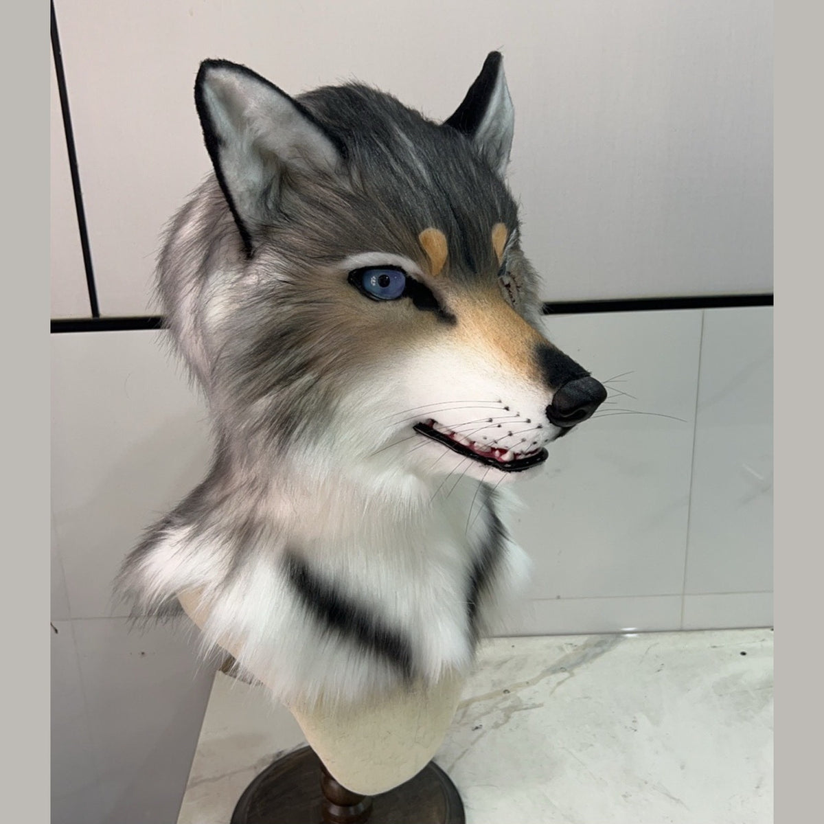 NOTCH — a one-of-one realistic wolf fursuit head by Fulu Fursuits in gray and white with blue eyes and three red marks under one eye