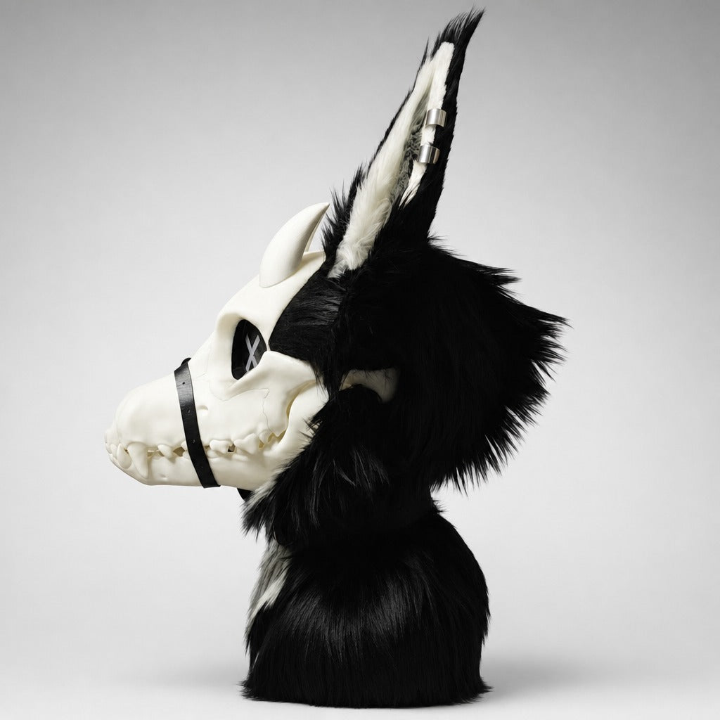VIGIL skulldog partial in profile — muzzle length, teeth and the leather muzzle strap