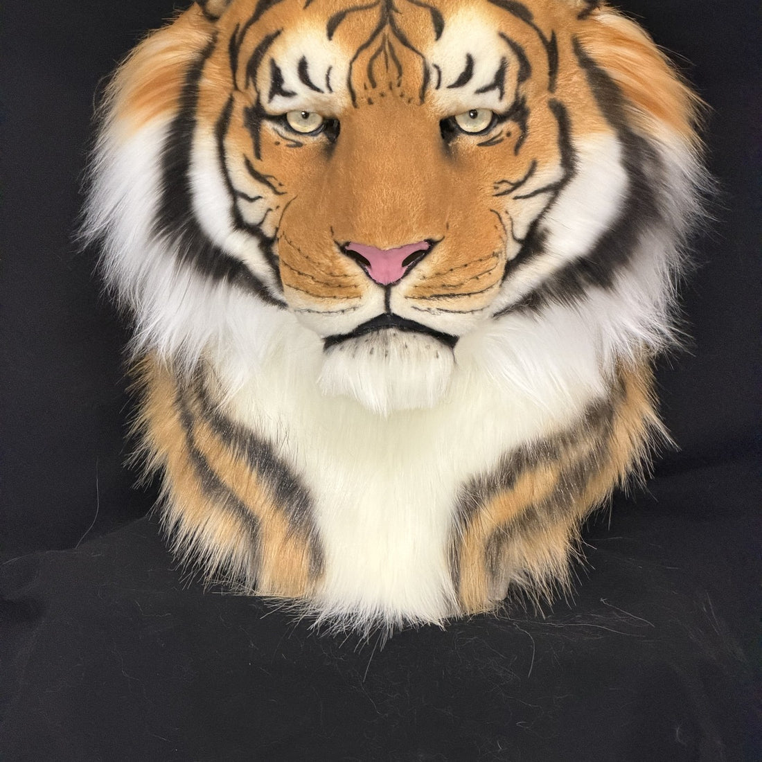 Orange tiger