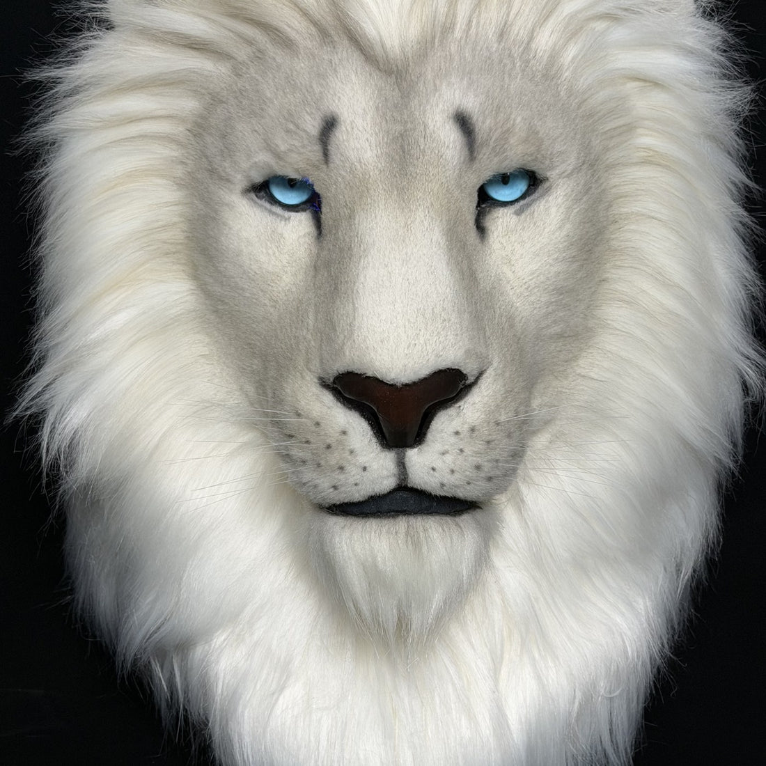 Mane filling the frame
